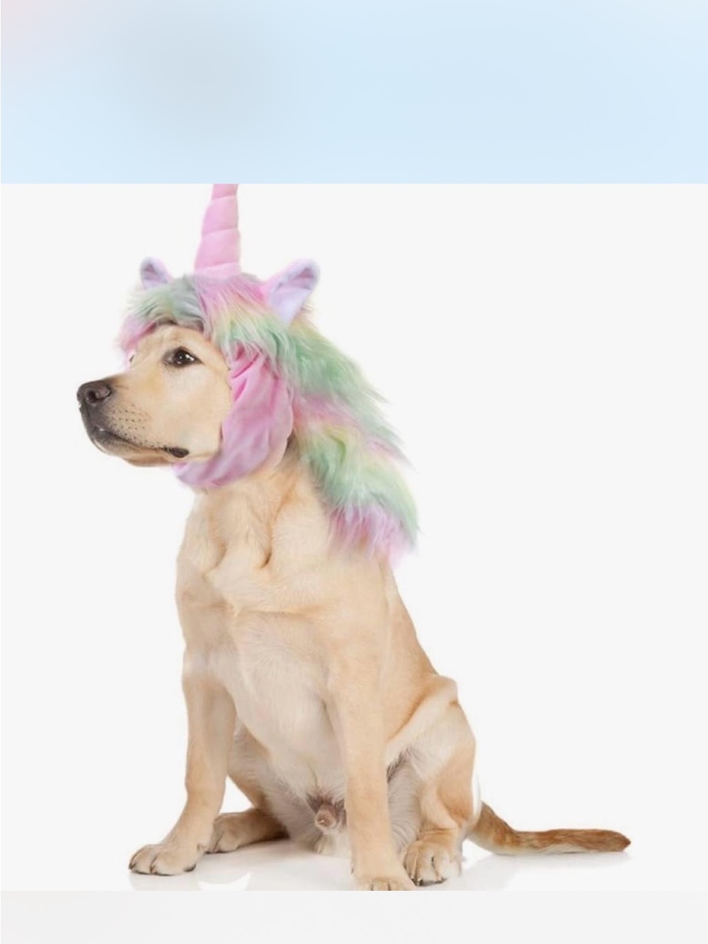 Amazon Pastel Unicorn Dog Headpiece in Pink, Green & Lavender